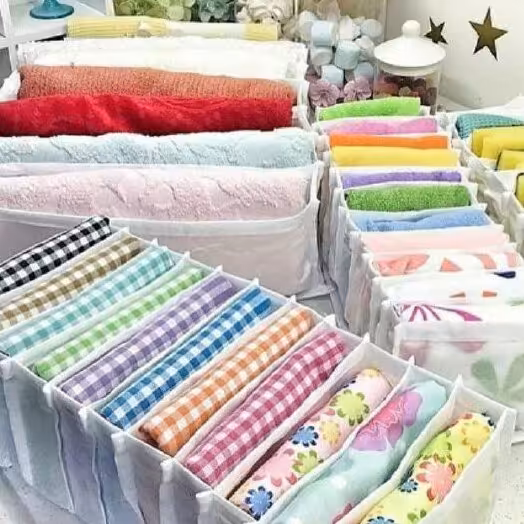 نظم دهنده ی کشو