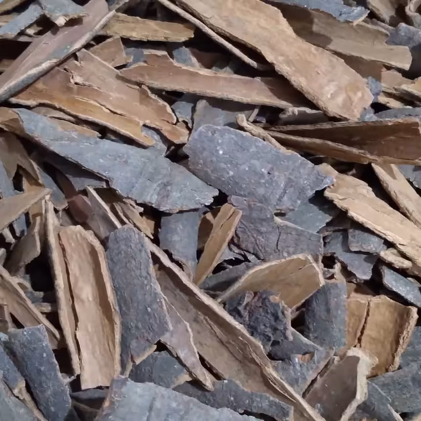 چوب دارچین شکسته معطر امسالی اعلا ( تضمین کیفیت)