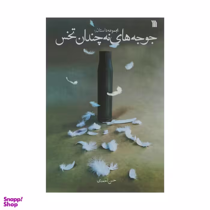 کتاب مجموعه داستان جوجه های نه چندان تخس اثر حسن احمدی نشر سروش