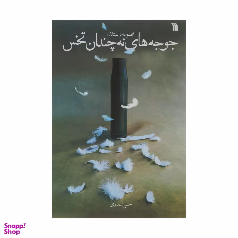 کتاب مجموعه داستان جوجه های نه چندان تخس اثر حسن احمدی نشر سروش