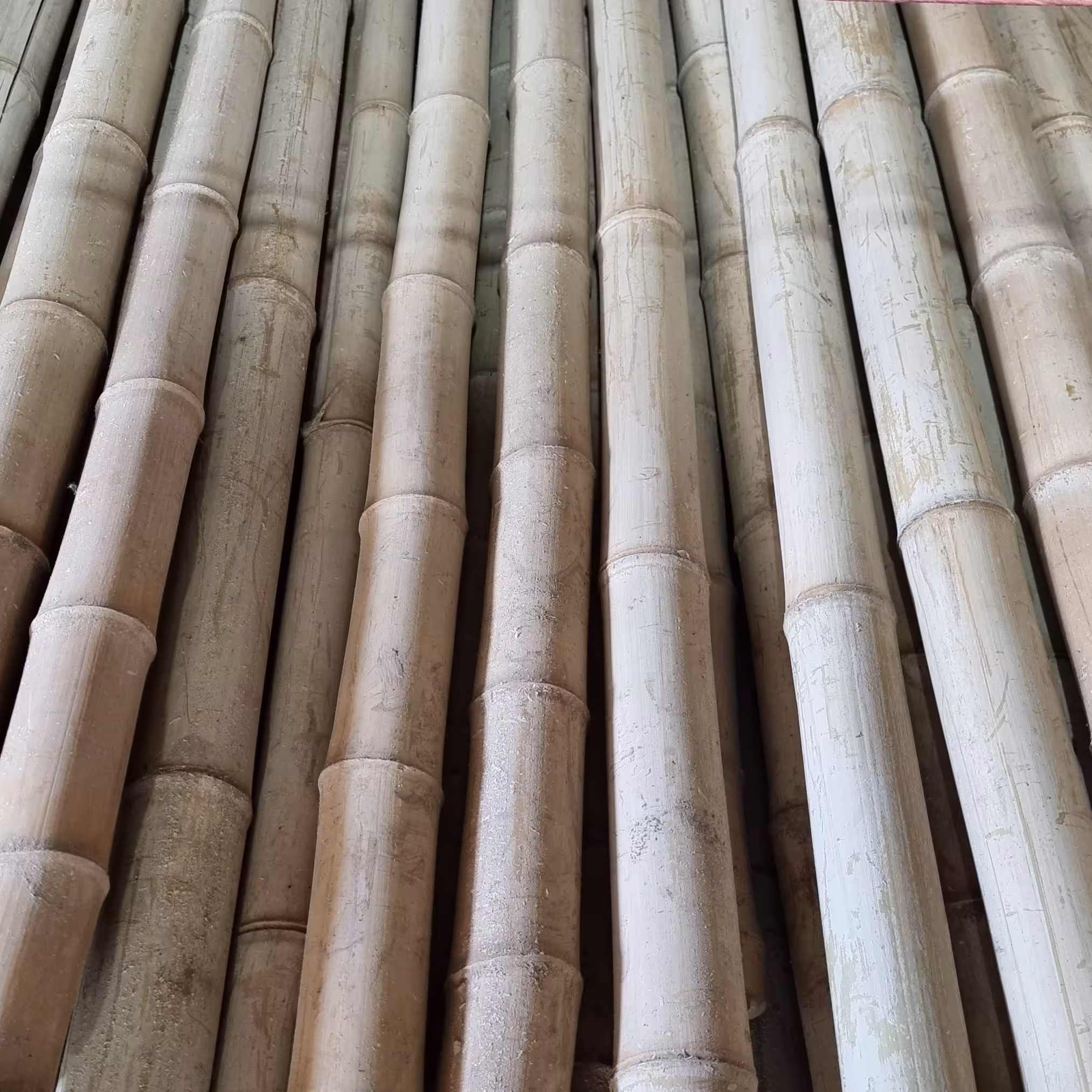 (بسته 4تایی)چوب بامبو خشک قطر 5 نی بامبو