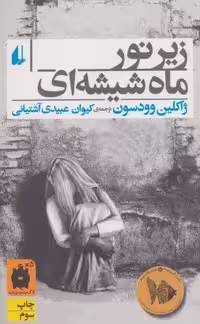 زیر نور ماه شیشه ای (رمان جوان 1)