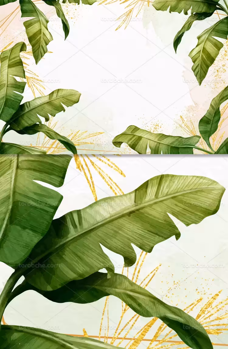 وکتور کادر برگ با کیفیت | گرافیک با طعم تربچه