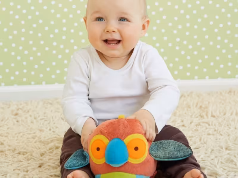 توپ جغجغه ای طرح طوطی skip hop