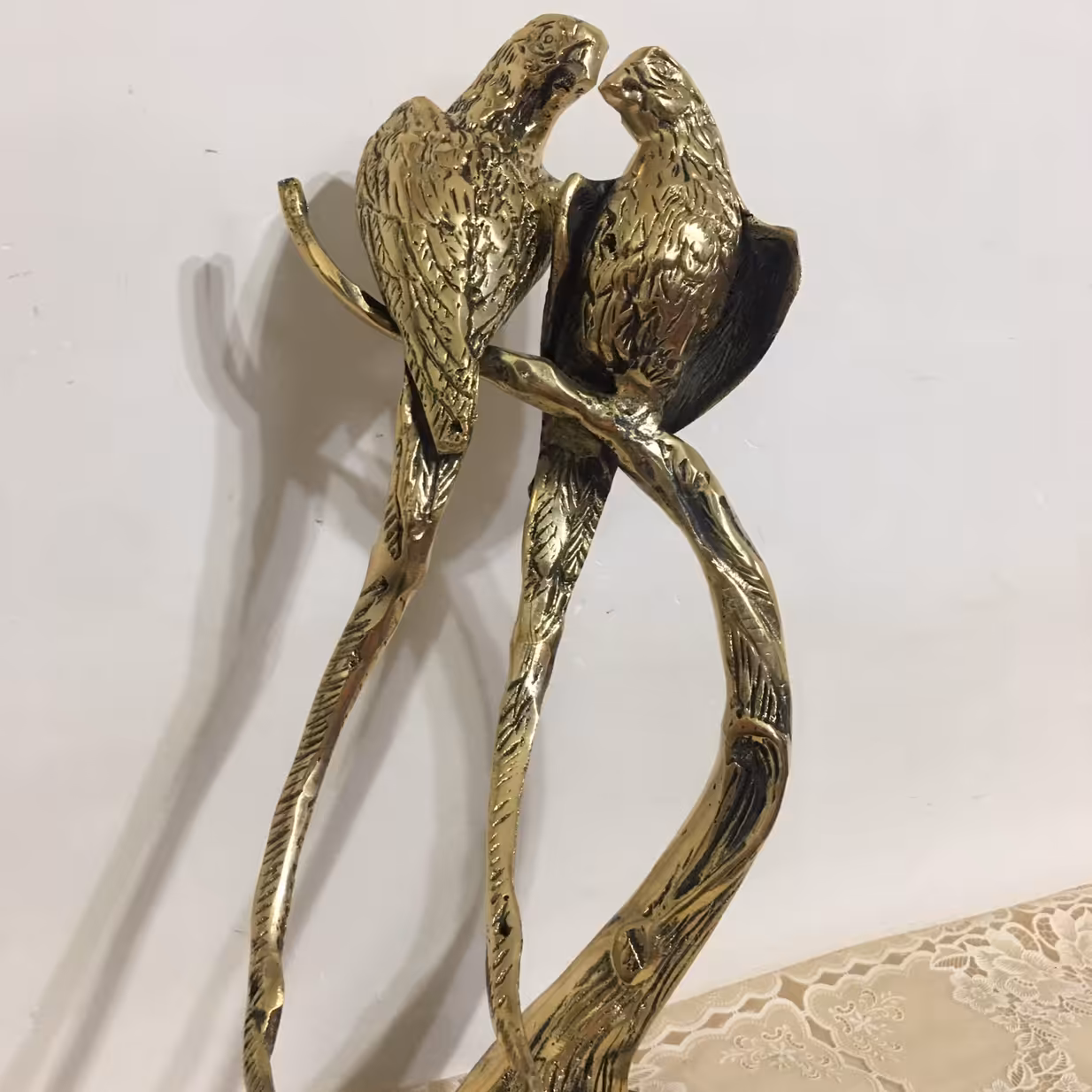 طوطی برنز عاشق  روی تنه درختچه(پسکرایه)