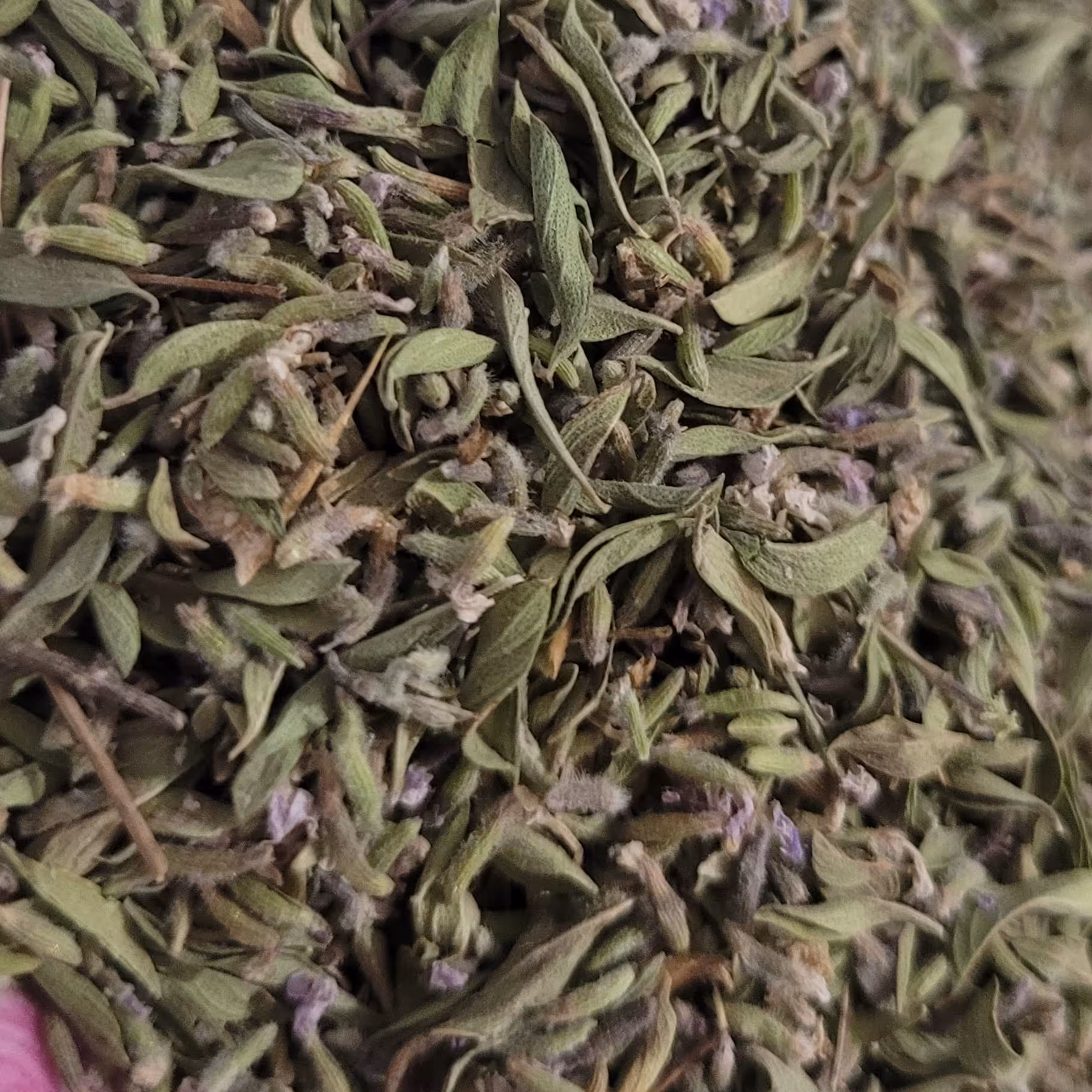 آویشن کوهی اعلا