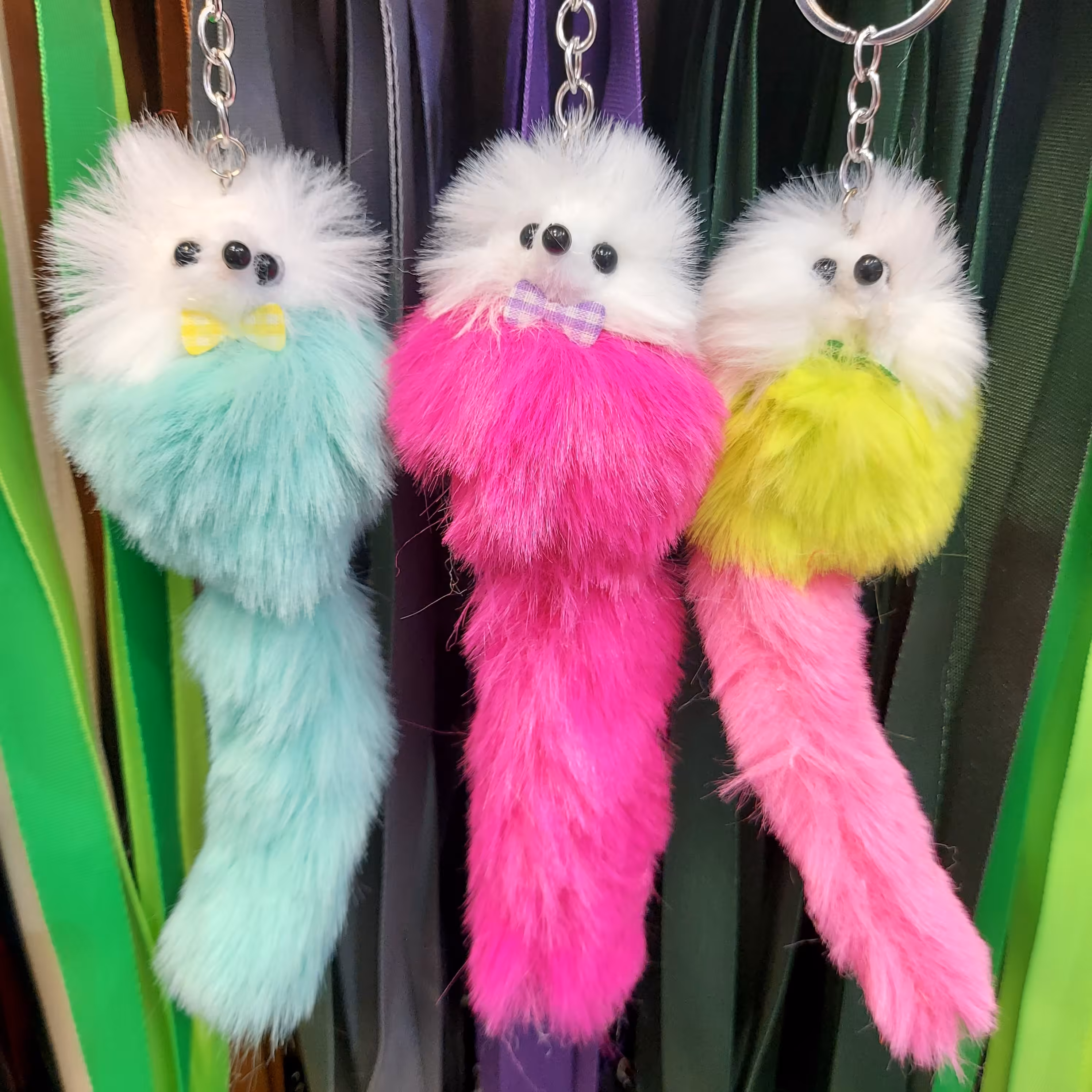  جاسوئیچی سنجاب پشمالو