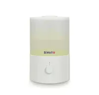 بخور سرد بی ول مدل  B.Well PRO-10