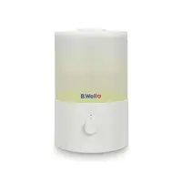 بخور سرد بی ول PRO-10