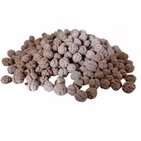 نخودچی دو آتیشه شکلاتی ممقان 1 کیلویی