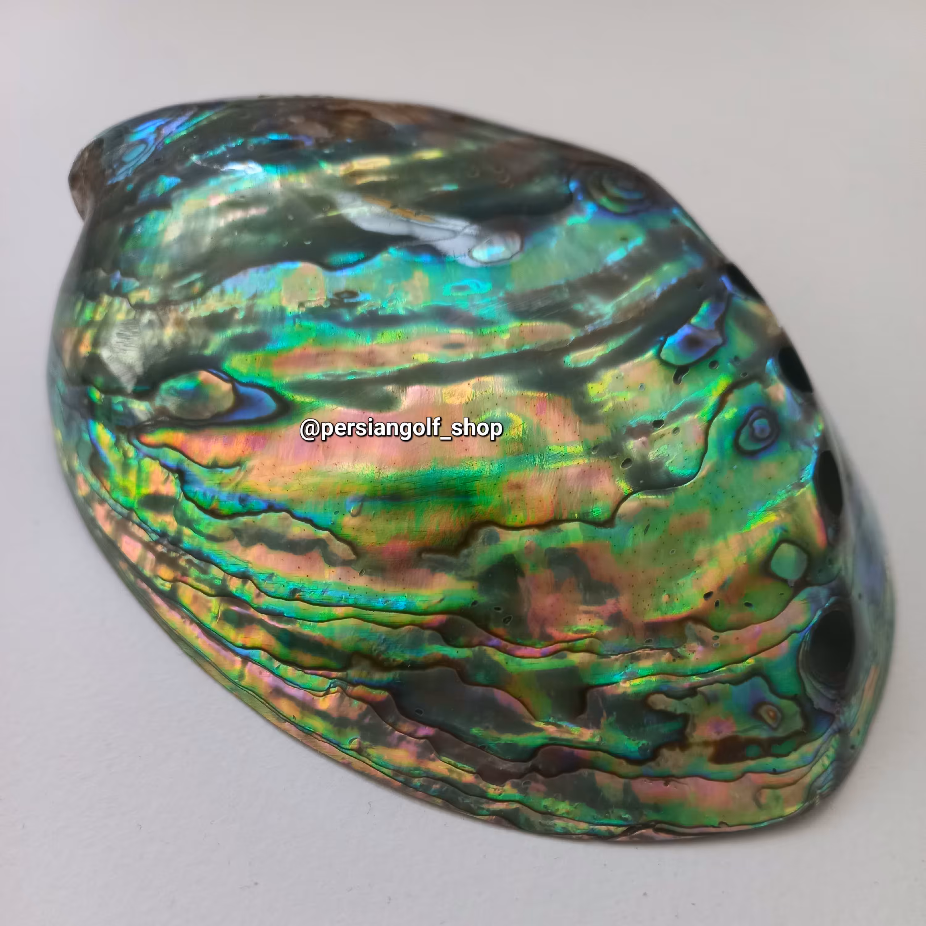 صدف آبالون هفت رنگ اقیانوسی طبیعی سایز بزرگ و کمیاب با رنگ طبیعی بی نظیر 