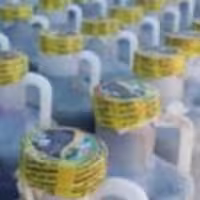 خیارشور نول تخمیری 13 کیلویی