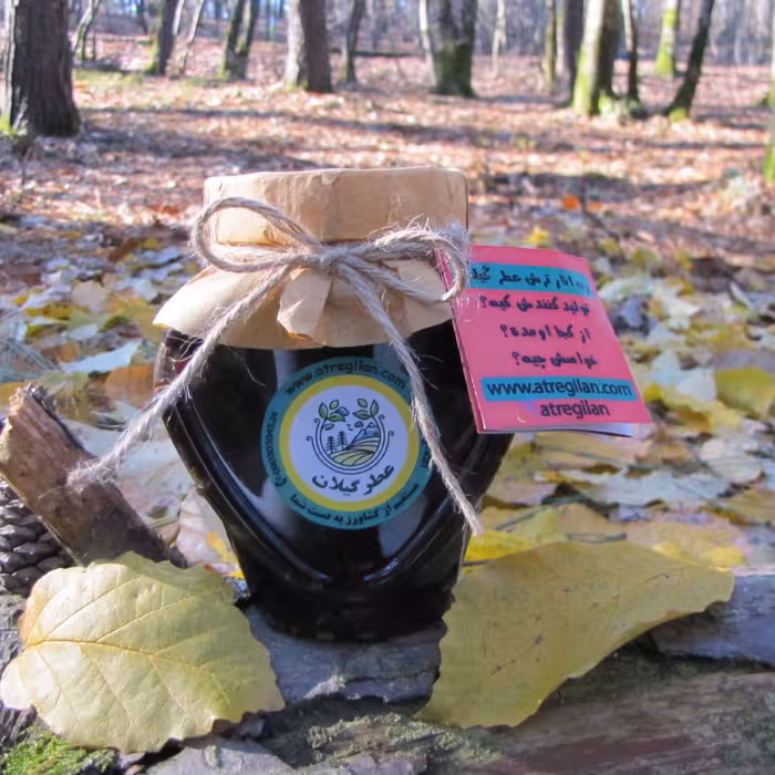 قیمت رب انار ترش خانگی، خرید رب انار خالص و درجه 1 گیلانی (800گرم)