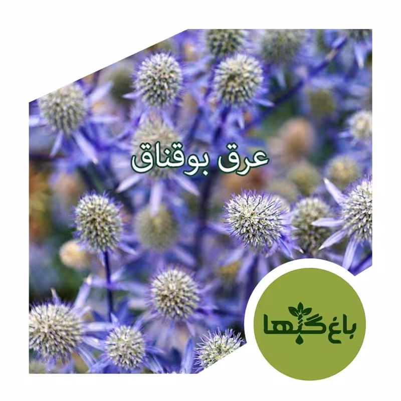 عرق بوقناق ناب یک لیتری