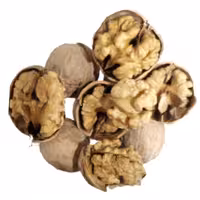 گردو ی پوست کاغذی ممتاز آذرشهر ارسال رایگان