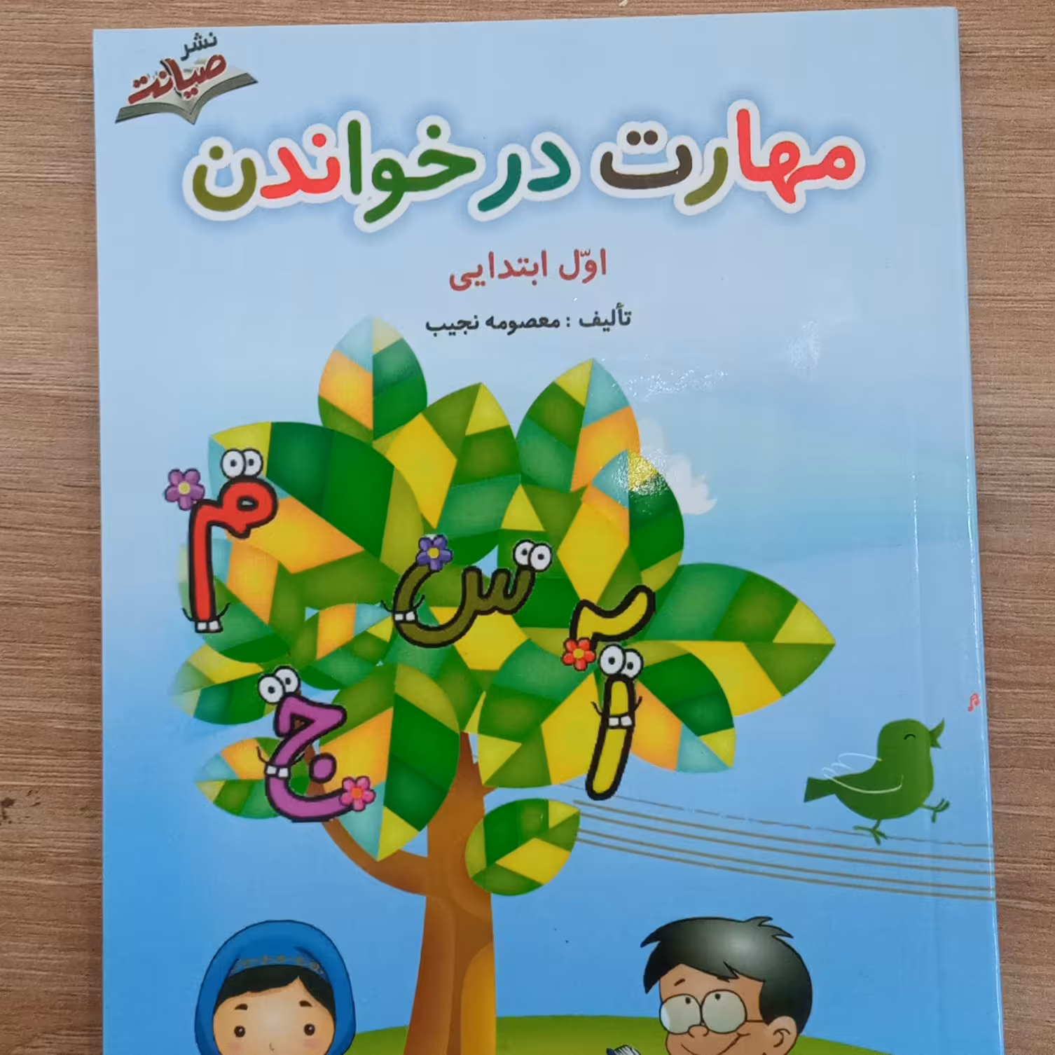 کتاب مهارت در خواندن  اول ابتدایی تالیف معصومه نجیب نشر صیانت 