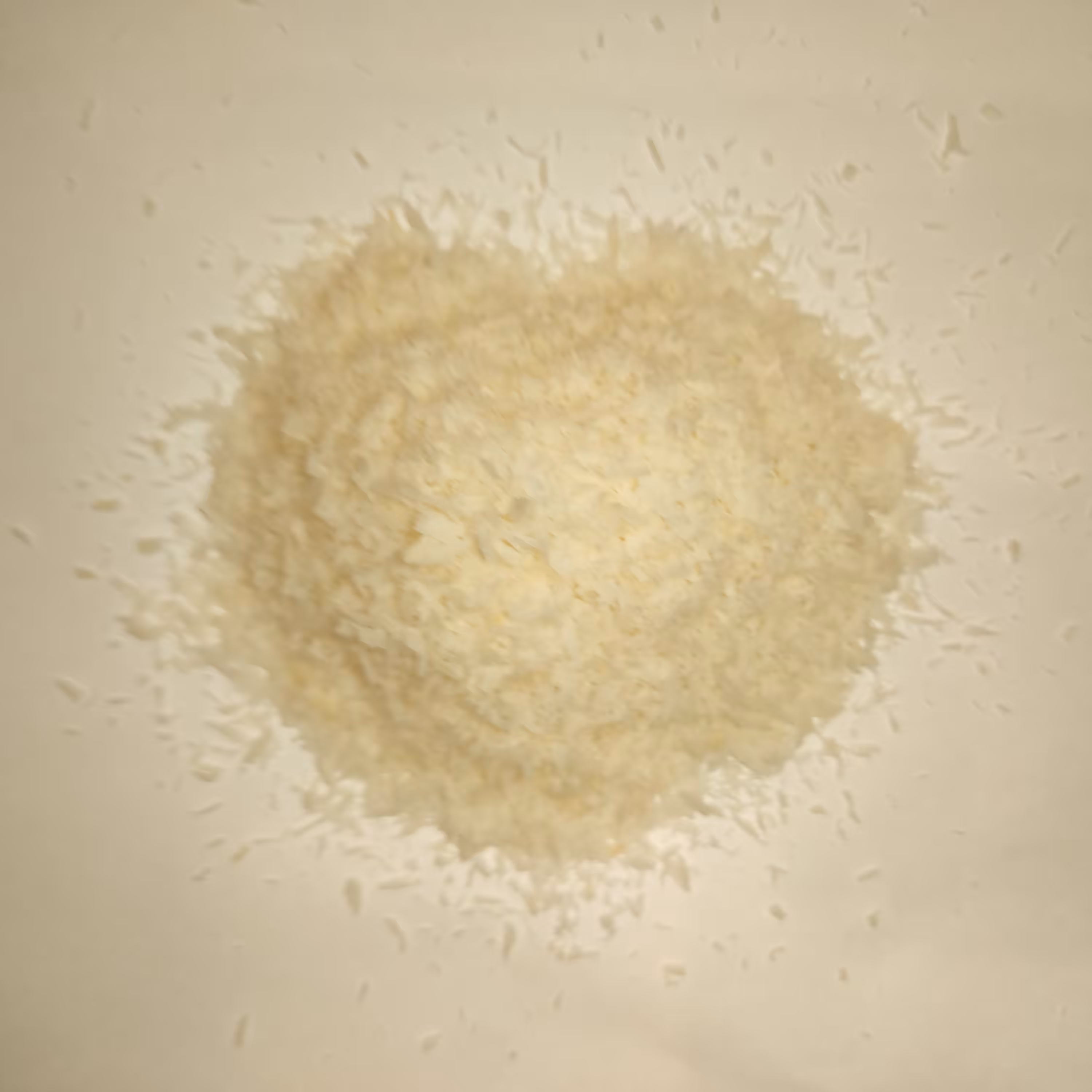 پودر نارگیل چرب سریلانکا 100 درصد خالص 250 گرمی‌