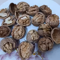 گردو 100درصد پوست کاغذی، پرچرب، برداشت 1400، گردو ایرانی، بومی خراسان شمالی