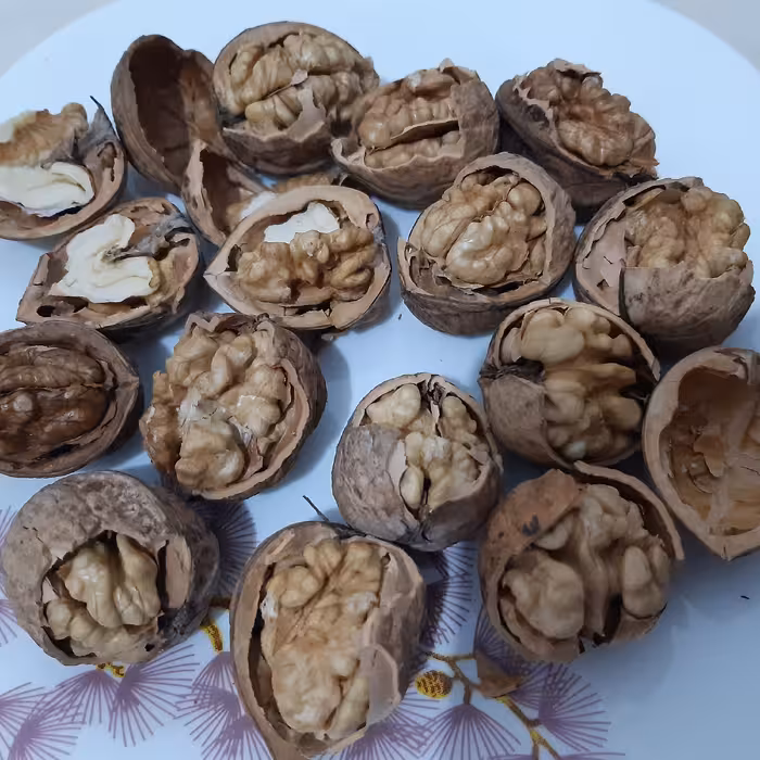 گردو 100درصد پوست کاغذی، پرچرب، برداشت 1400، گردو ایرانی، بومی خراسان شمالی