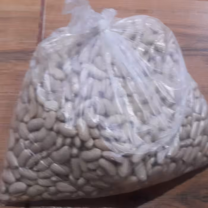 باقالی کشاورزی لوبیا کشاورزی 1کیلویی اعلا 