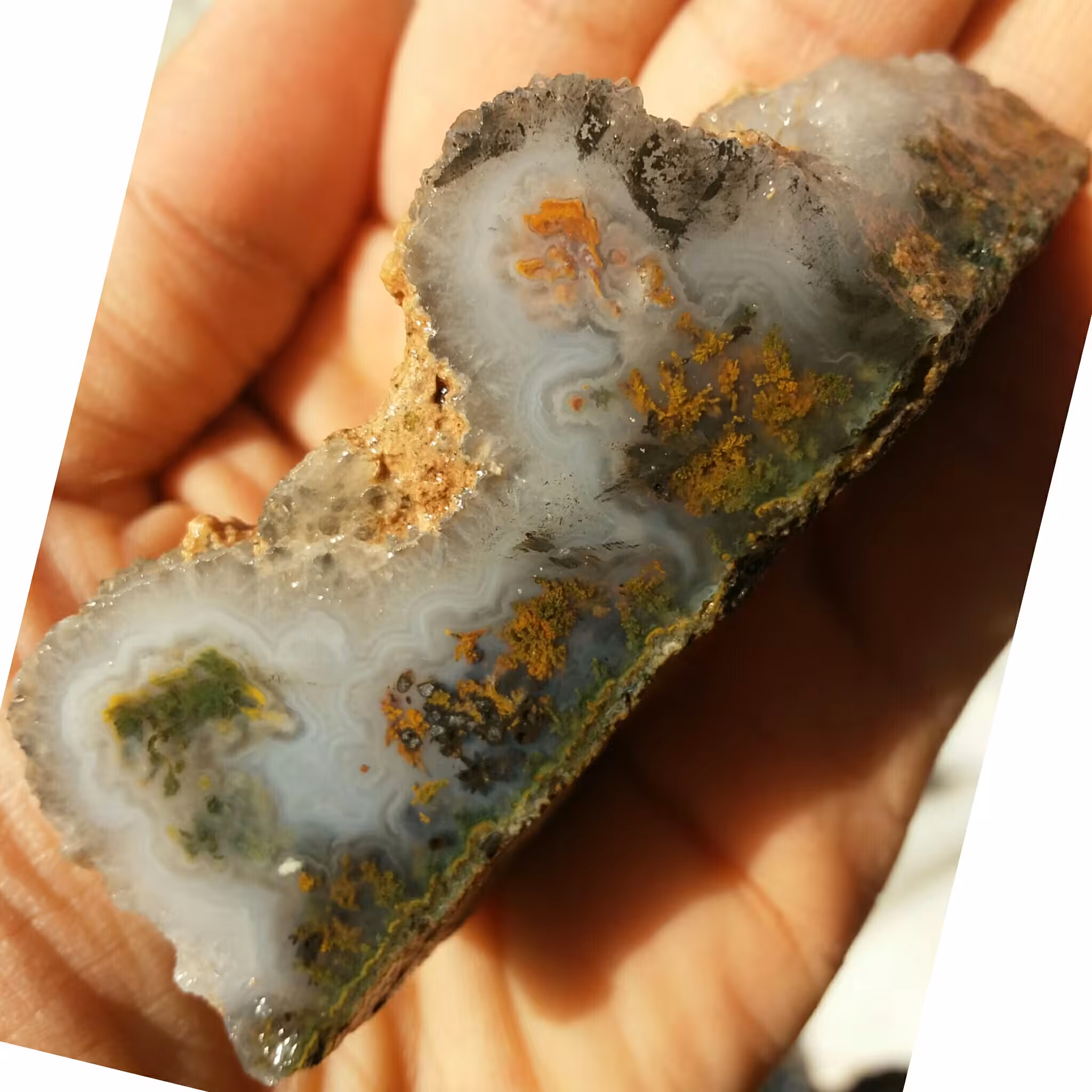 اسلایس سنگ راف عقیق شجر منظره 7 رنگ دیدنی 100 در 100 طبیعی شاهکار خلقت خاص