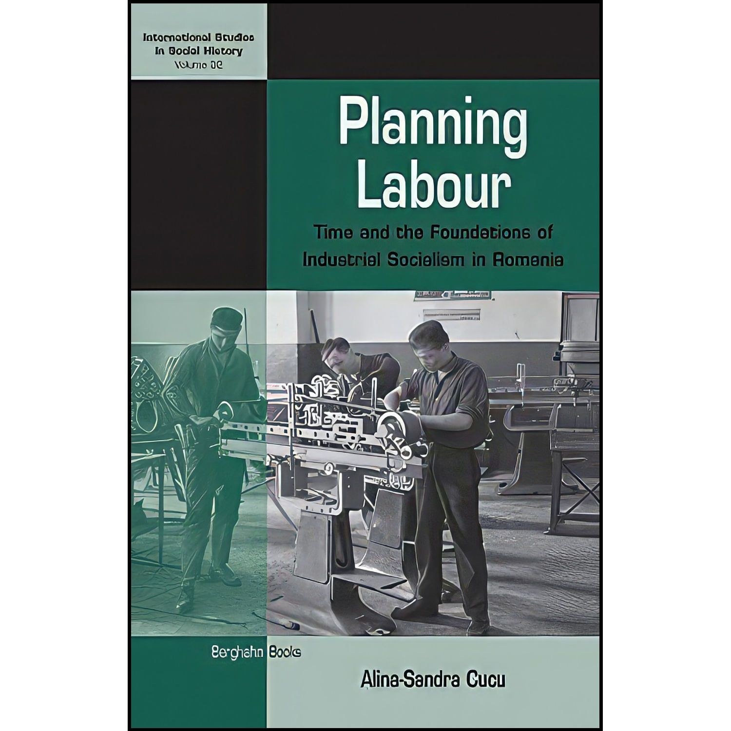 کتاب زبان اصلی Planning Labour اثر AlinaSandra Cucu