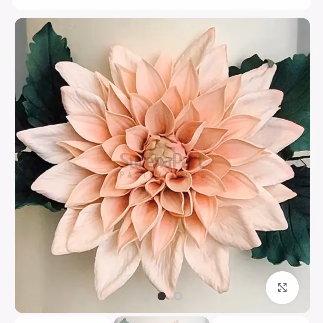 ست وینر گل کوکب با 3 کاتر