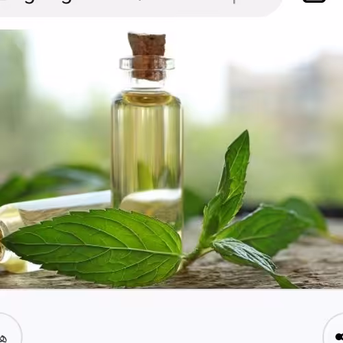 روغن برگ نعناع 30 سی سی مناسب سردرد میگرن