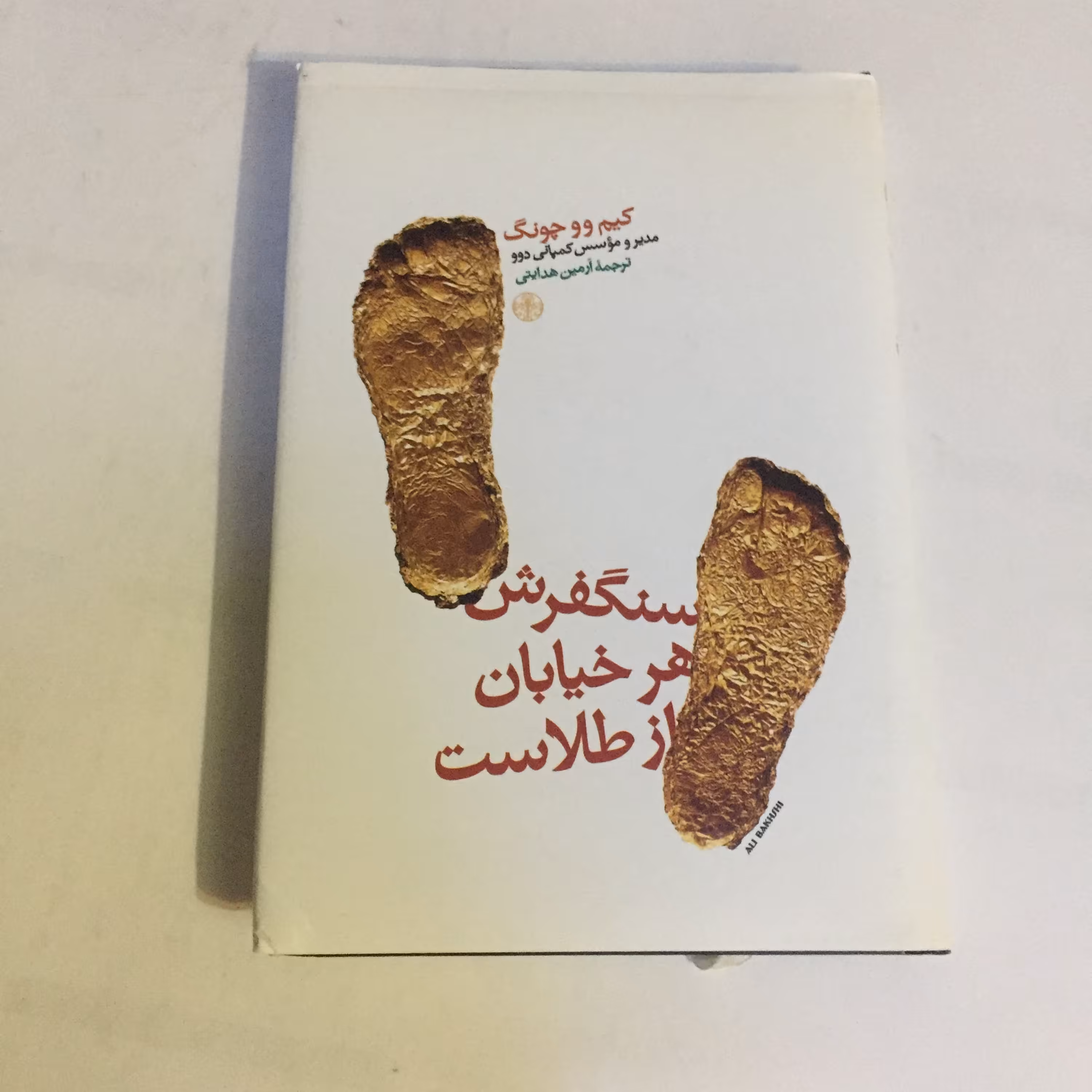 کتاب سنگفرش هرخیابان از طلاست