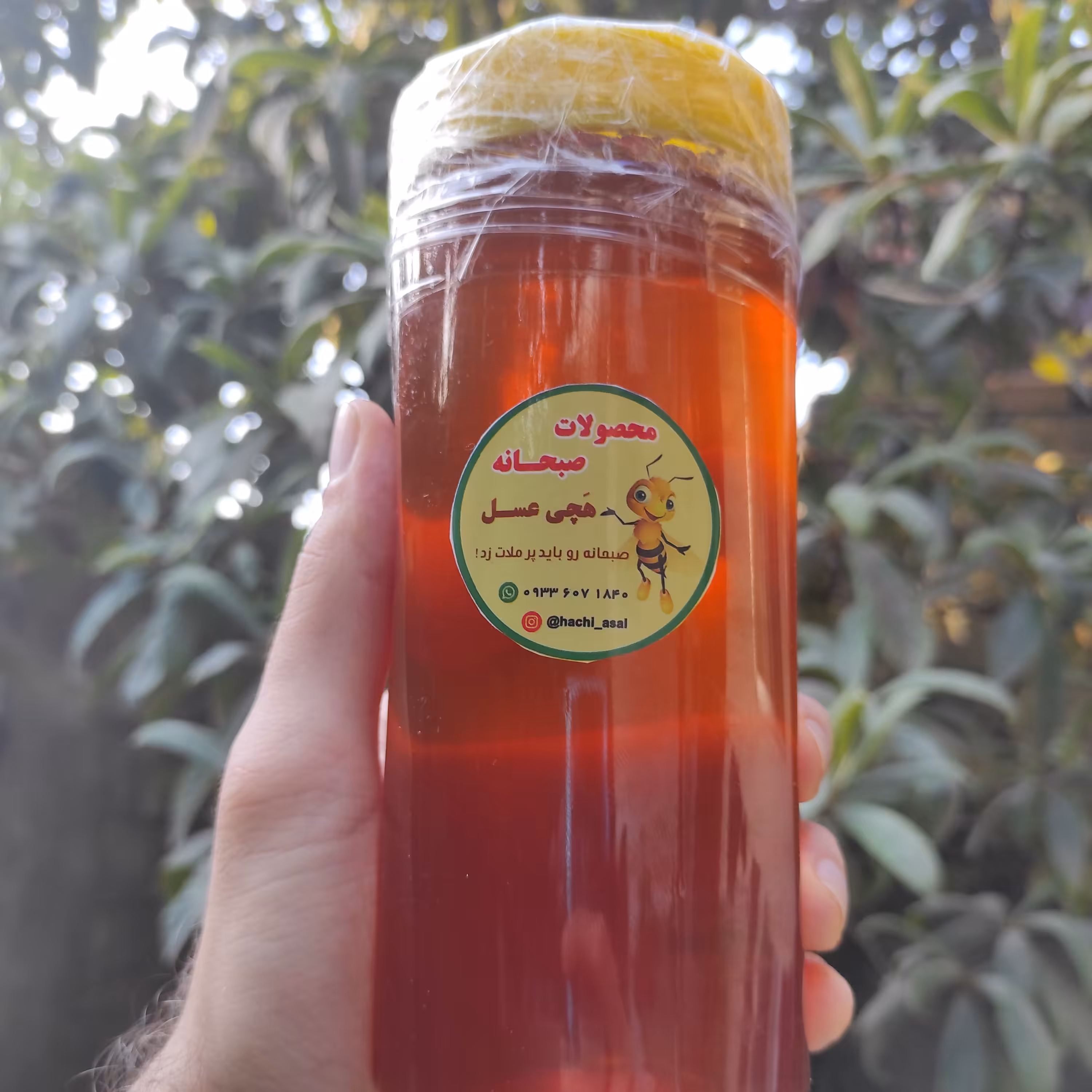 عسل کنار