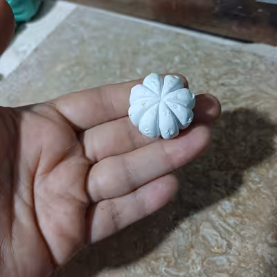 بیس خام کاکتوس شماره ی 6