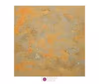 بکدراپ عکاسی Ilkeen مدل Frazzled