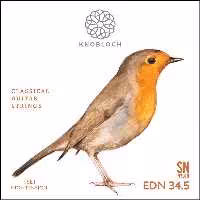 سیم گیتار نابلوخ مدل EDN34.5