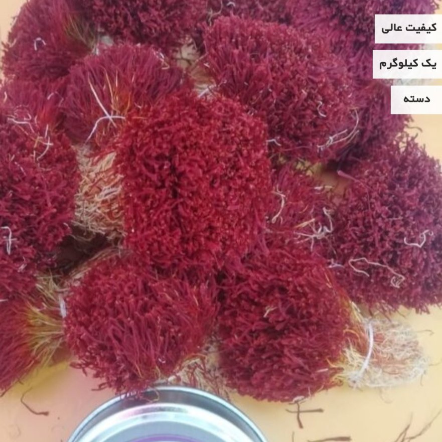 زعفران دخترپیچ (دسته)