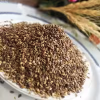 کنجد بوداده(تفت داده) (1000 گرمی ارسال رایگان)