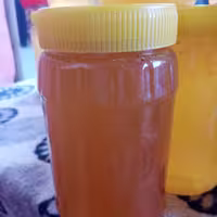 عسل  طبیعی گشنیز  حاجیوند