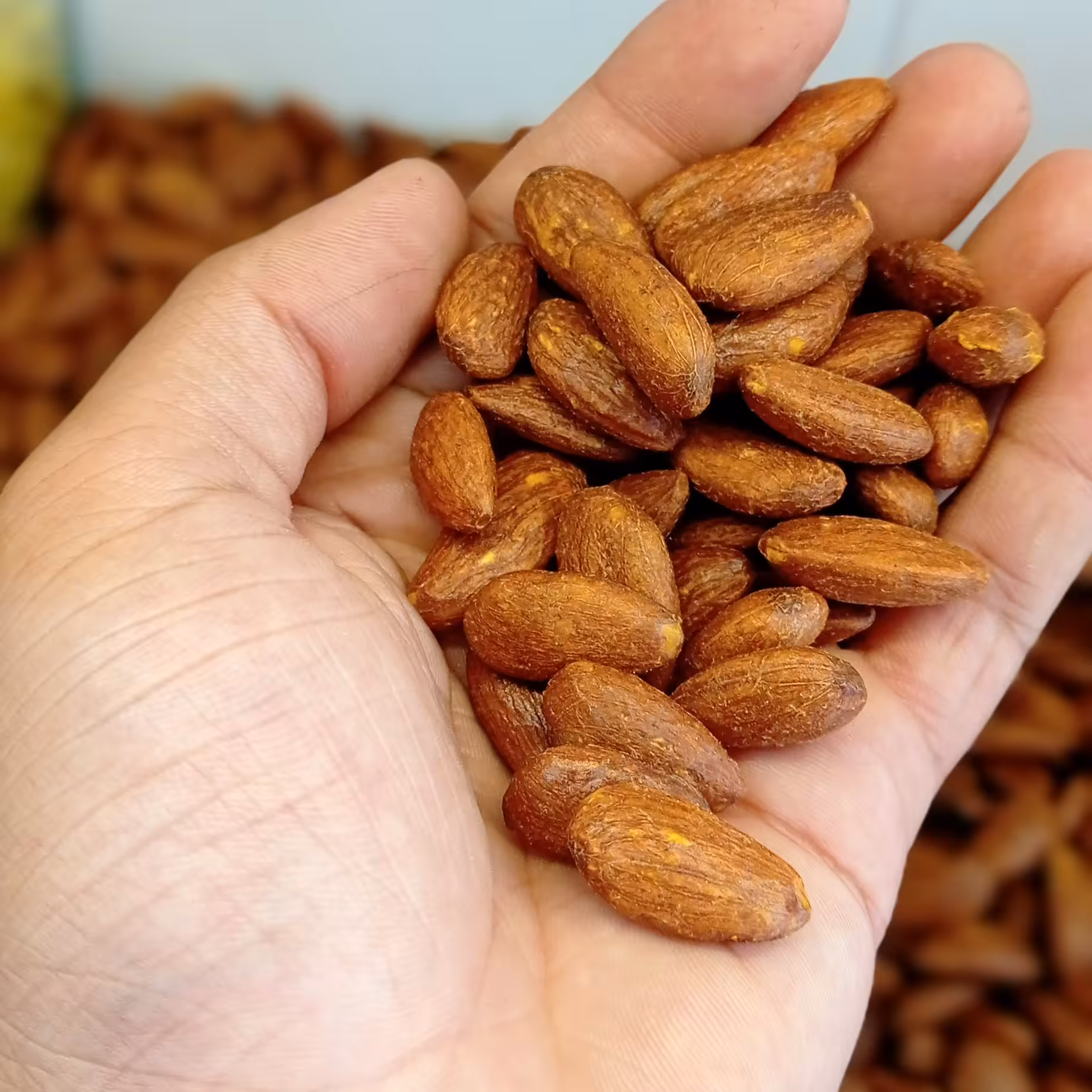 بادام درختی شور