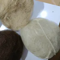 موی پوش مخصوص شینیون