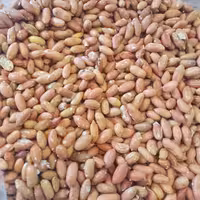 بادام زمینی ریز ، ترد و تازه  ، تفت داده و نمکی 500 گرمی