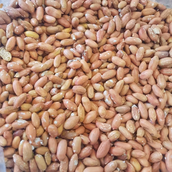 بادام زمینی ریز ، ترد و تازه  ، تفت داده و نمکی 500 گرمی