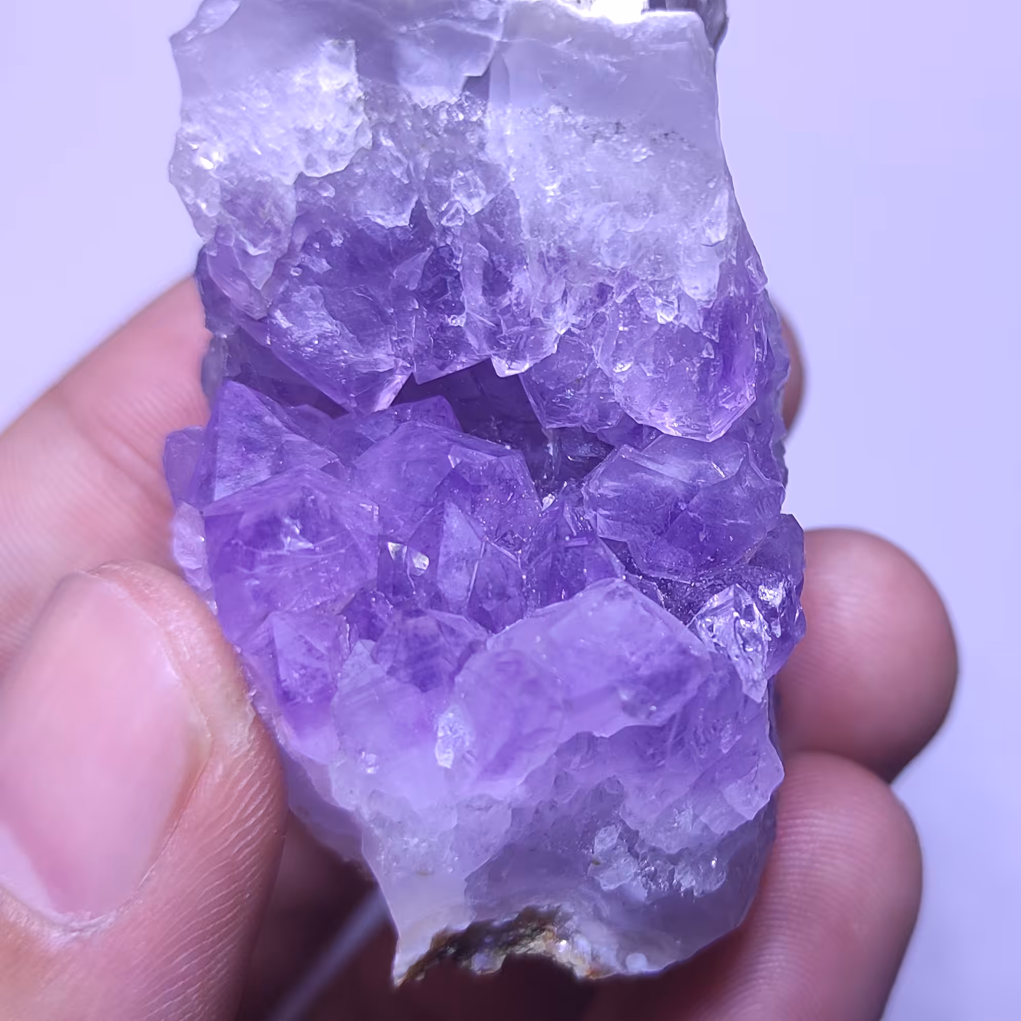 راف آمیتیست سنگ آمیتیست راف آمیتیس سنگ آمیتیس کریستال آمیتیست با بلورهای درشت جذاب چشم نواز  مناسب کلکسیون هدیه کد RA21