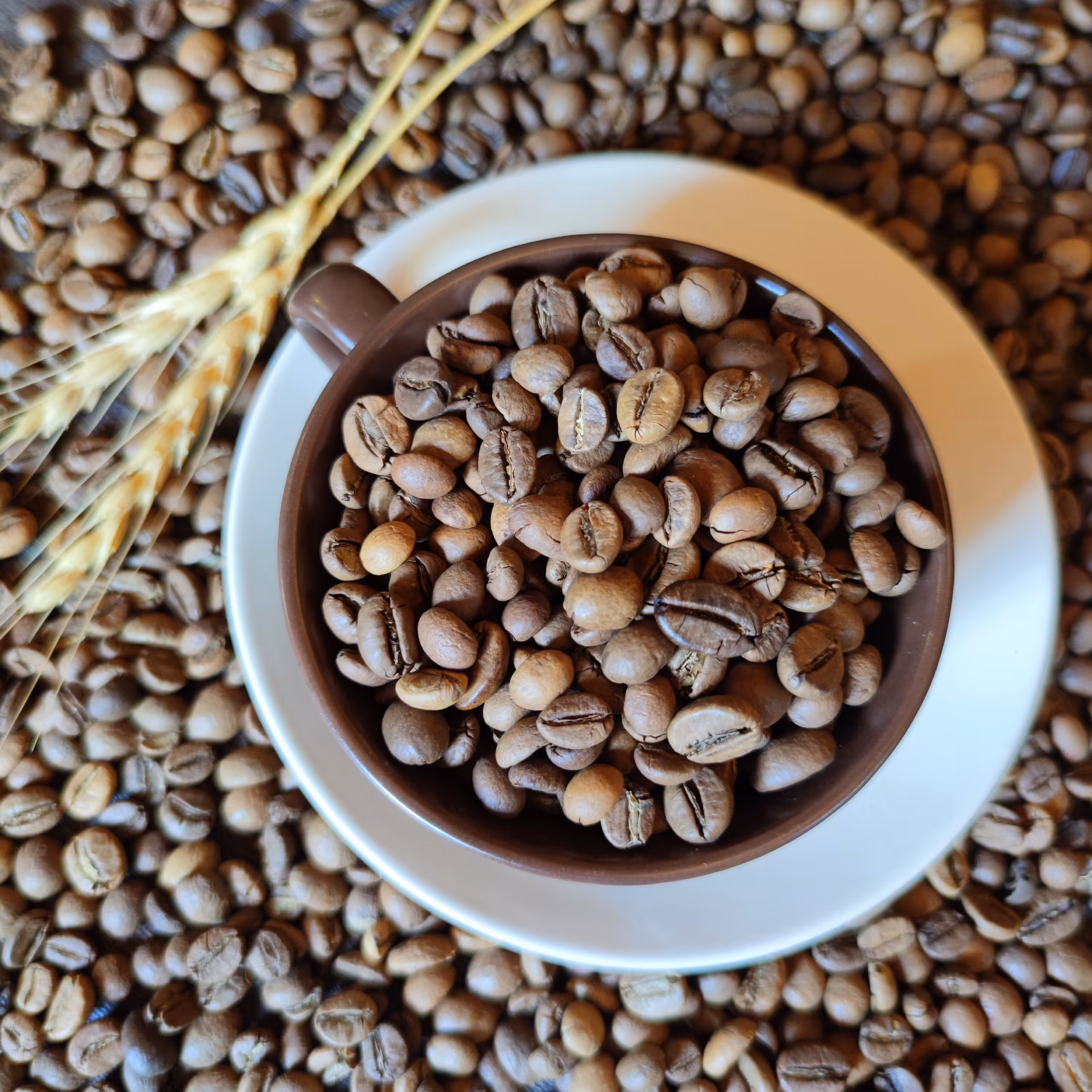 قهوه میکس 60روبوستا (250گرمی)