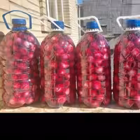 ترشی پیاز قرمز ریز با سرکه خانگی 