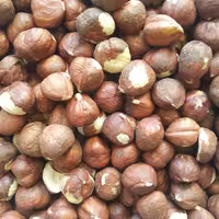 مغز فندق خام (10 کیلو)