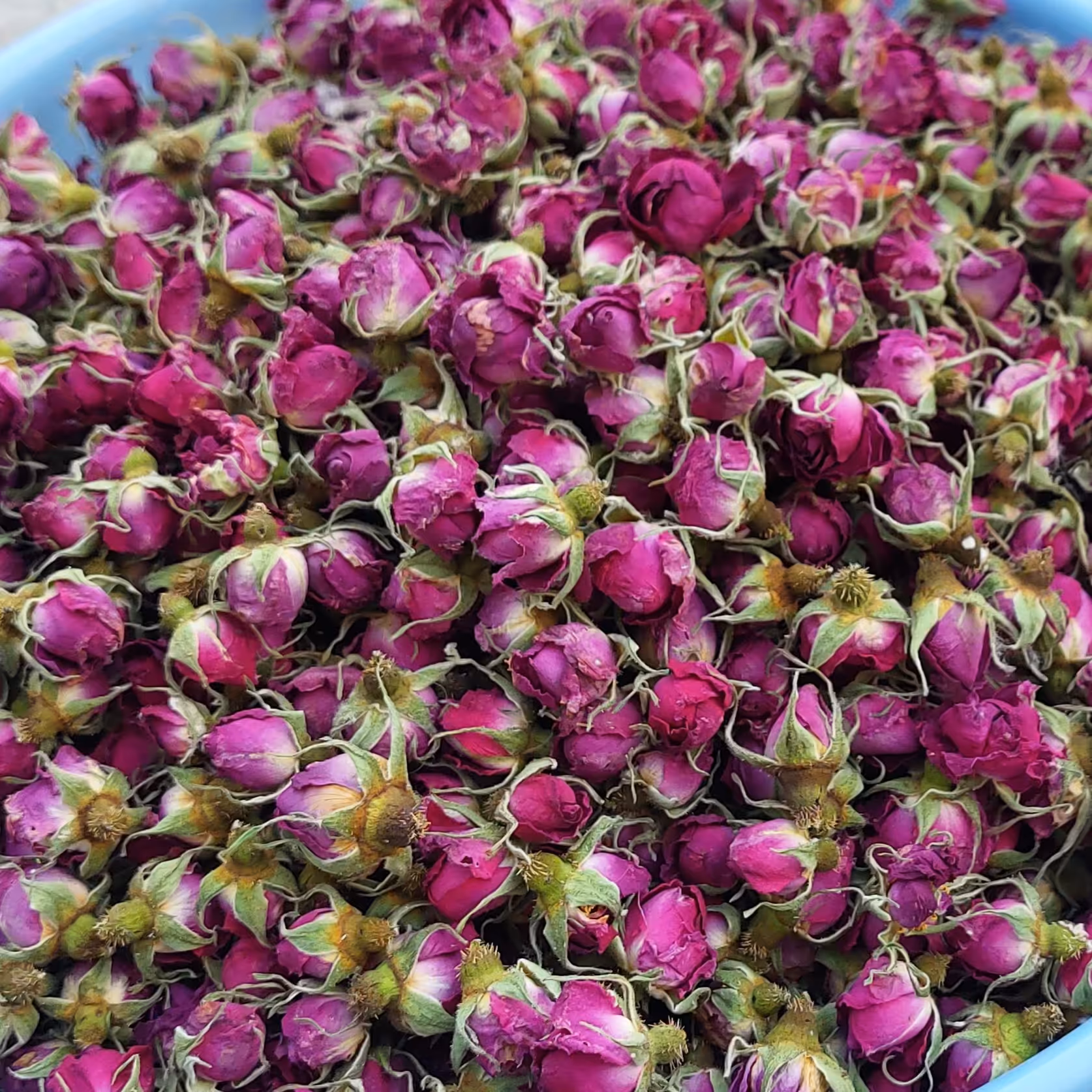 غنچه گل محمدی در بسته بندی 200 گرمی