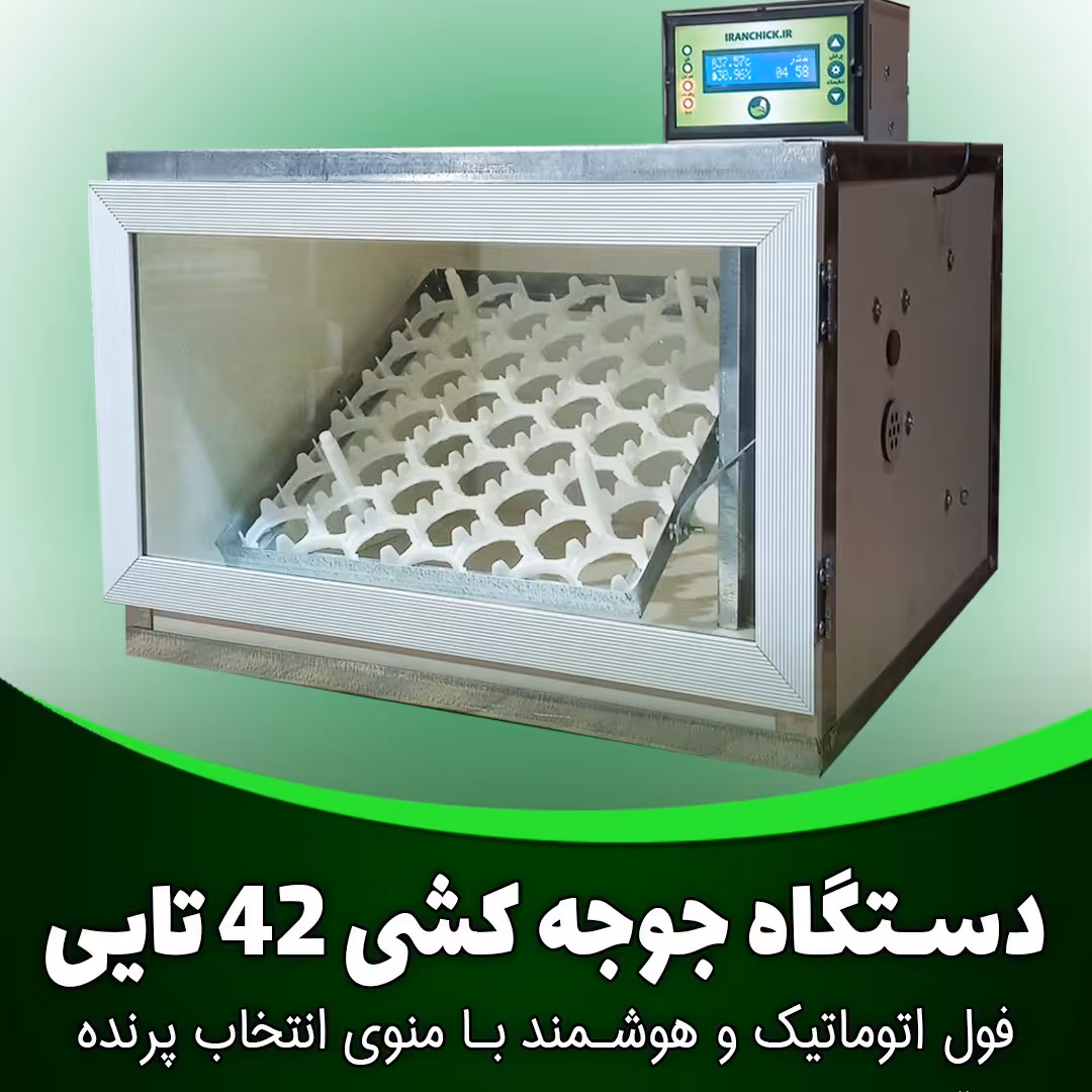 دستگاه جوجه کشی 42 تایی اتوماتیک فول هوشمند با قابلیت انتخاب پرنده