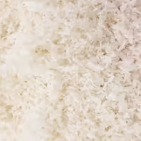 پودر نارگیل چرب 50 گرمی