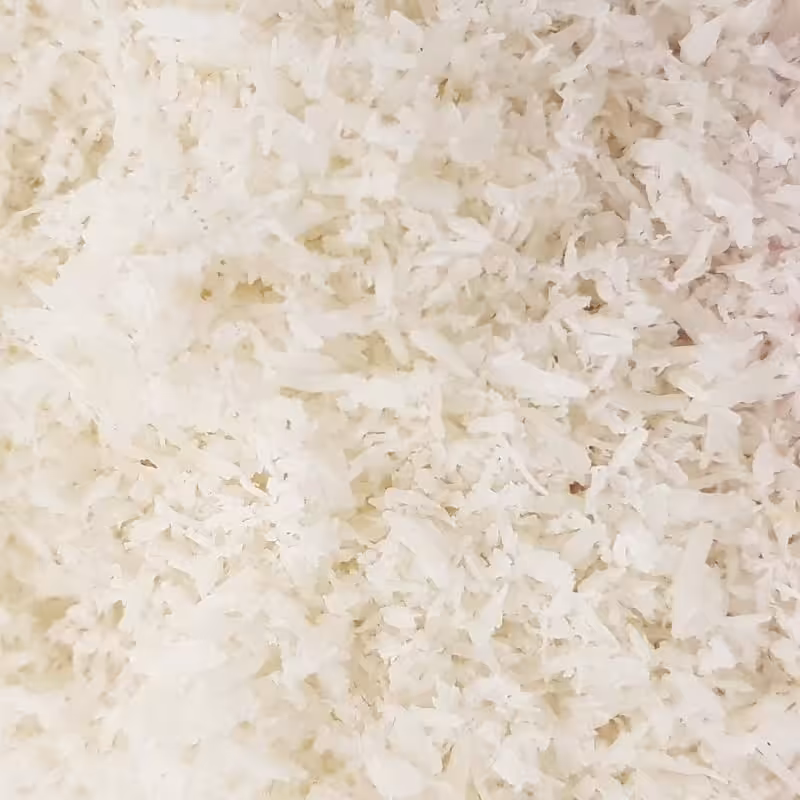 پودر نارگیل چرب 50 گرمی