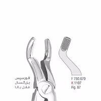 فورسپس بزرگسال عقل بالا - falcon