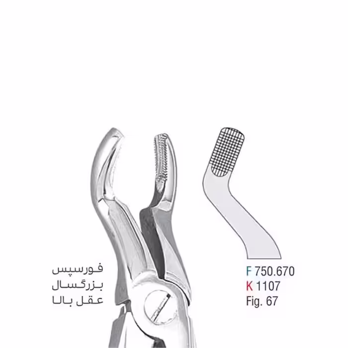 فورسپس بزرگسال عقل بالا - falcon